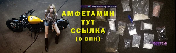 ГАЛЛЮЦИНОГЕННЫЕ ГРИБЫ Абаза