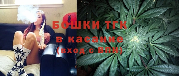 ГАЛЛЮЦИНОГЕННЫЕ ГРИБЫ Абаза