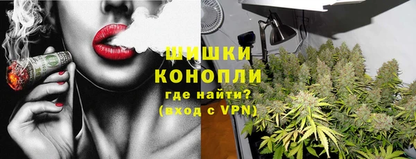 крисы Абдулино