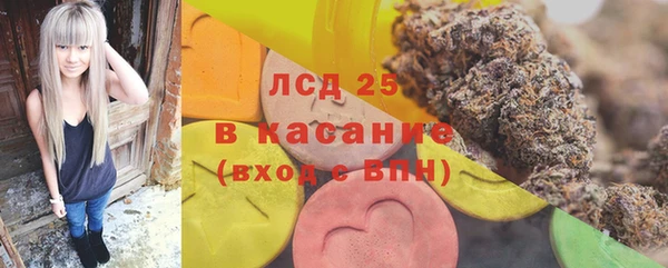 ГАЛЛЮЦИНОГЕННЫЕ ГРИБЫ Абаза